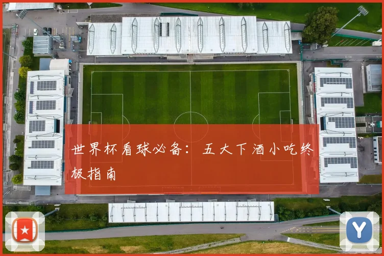 世界杯看球必备：五大下酒小吃终极指南