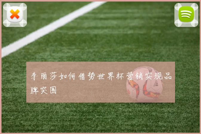 李丽莎如何借势世界杯营销实现品牌突围