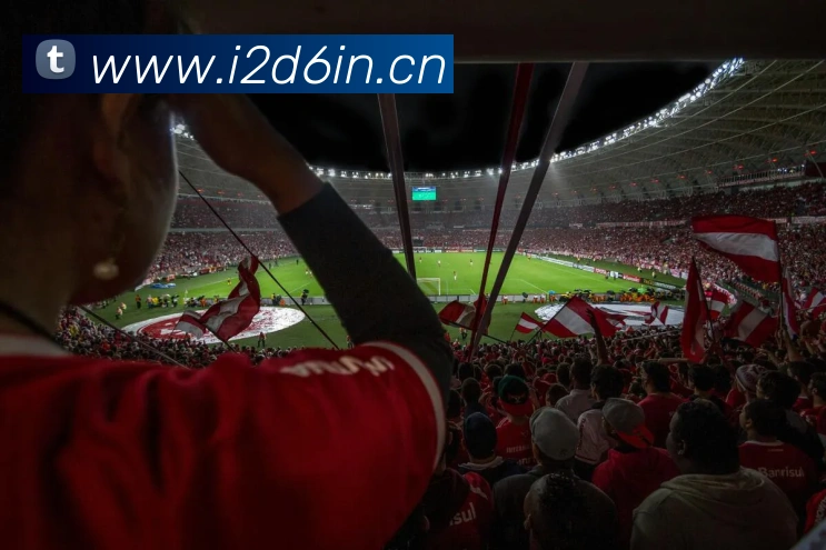 星空网官网品牌故事