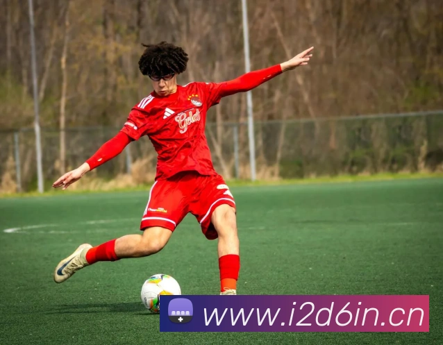 星空网官网服务体系